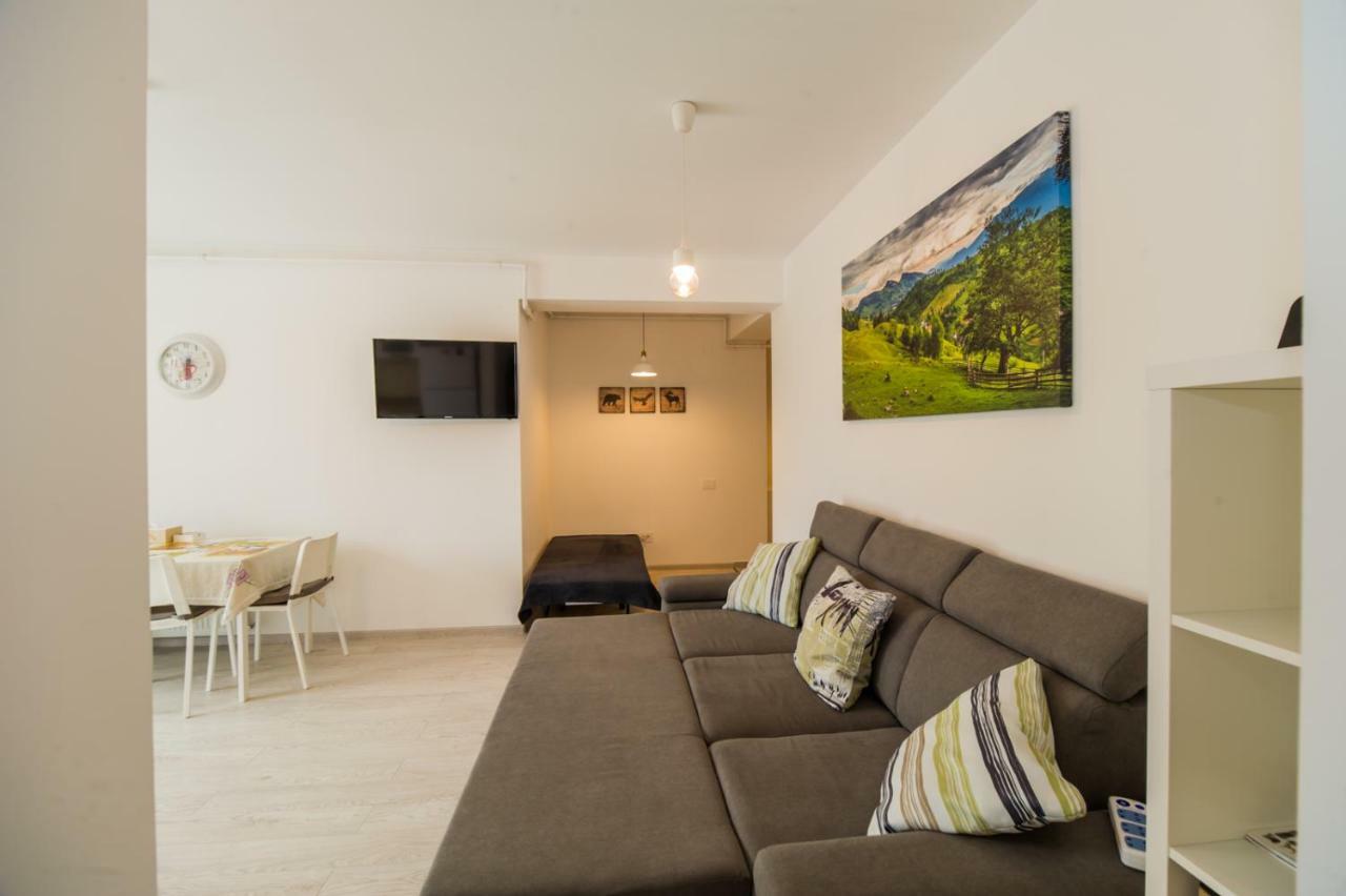 Schiller Apartment 57 - Free Private Parking Brašov Exteriér fotografie